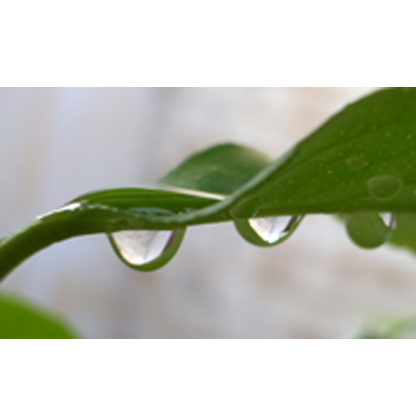Rainwater Harvesting FAQs